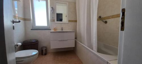 y baño con aseo, lavabo y ducha. en Apartamentos Naturalis, en Vila Nova de Milfontes
