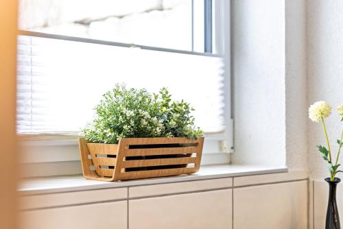 a plant in a basket sitting on a window sill at Ferienwohnung Alpenblick in Zwiefalten