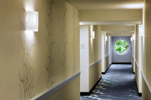 a hallway with yellow walls and a hallway with a window at Walt Disney World Dolphin in Orlando