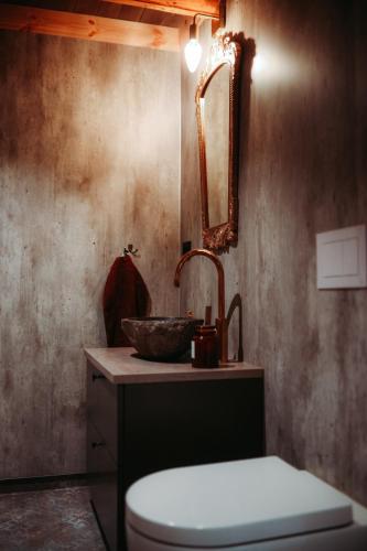 a bathroom with a sink and a toilet and a mirror at Stabburet Madam Meyer in Skage i Namdalen