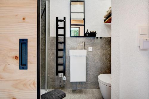 a bathroom with a toilet and a mirror at Gutenburgturm 18qm auf 3 Etagen in Waldshut-Tiengen