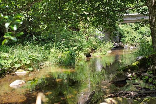 a river with a bridge in the background at Gutenburghüsli mit Garten am Fluss in Waldshut-Tiengen