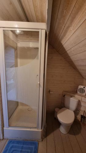 サン・ヴァレリー・シュル・ソンムにあるMaisonnette à Saint Valéry Sur Sommeの小さなバスルーム(トイレ、シャワー付)