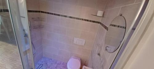 La salle de bains est pourvue d'une douche, de toilettes et d'une porte en verre. dans l'établissement Chambre d hôte avec piscine, à Agde