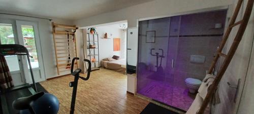 una habitación con un gimnasio con una puerta de cristal morado en Chambre d hôte avec piscine, en Agde