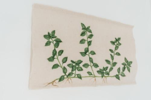 a drawing of green plants on a white wall at Eko hiša-Eco House Na razpotju in Solčava