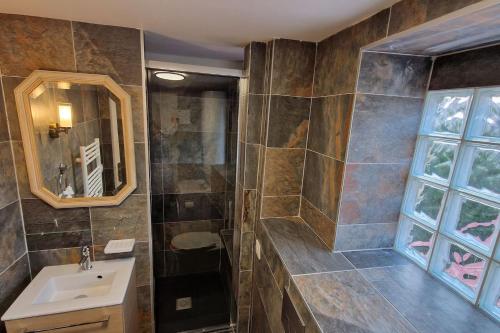 een badkamer met een wastafel en een spiegel bij Le Cygne in Château-Thierry