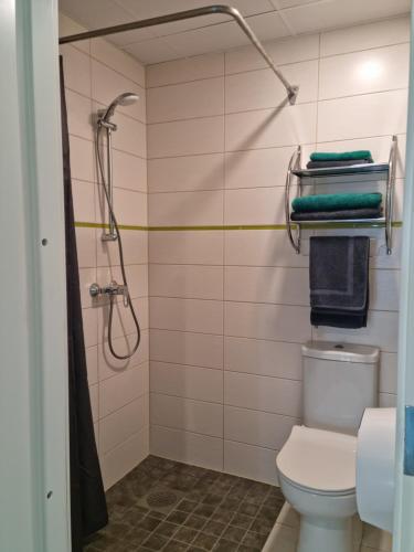 a bathroom with a shower and a toilet at Auksi motell in Auksi