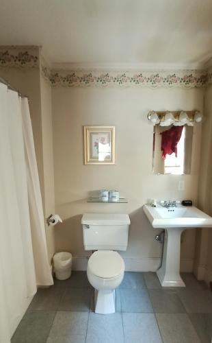 a bathroom with a white toilet and a sink at Arlington Inn & Spa in Arlington