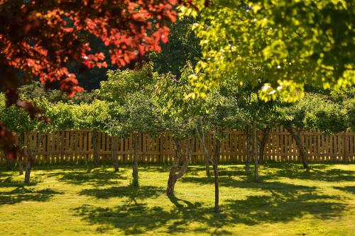 a row of trees in front of a wooden fence at Casa De Kai in Mill Bay
