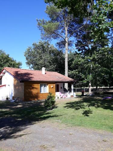 una pequeña cabaña en un patio con árboles en Amarante des Landes, 