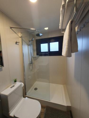 a bathroom with a toilet and a glass shower at Tiny House Suite Los Mallines de Malalcahuello in Malalcahuello