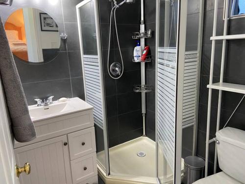baño pequeño con ducha y lavamanos en Adorable 2-bedroom guesthouse with free parking en Victoria