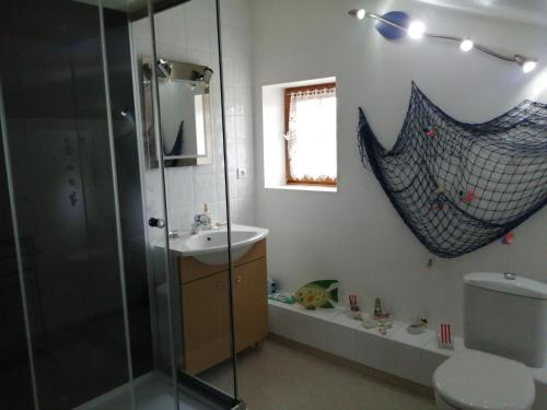 ein Bad mit einer Dusche, einem Waschbecken und einem WC in der Unterkunft Chambre d'hôtes Les Nénuphars in Melle