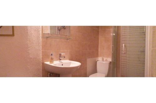 une salle de bain avec un lavabo et des toilettes dans l'établissement Petit Loft Cosy - gare centre ville - 4 personnes, à Carcassonne