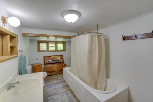 a bathroom with a tub and a toilet and a sink at Calumet Township Cottage about 1 Mi to Lake Superior in Calumet