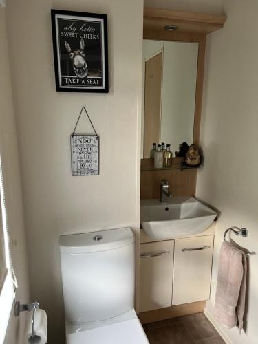 a bathroom with a white toilet and a sink at Maneight Luxury Lodge with hot tub in New Cumnock