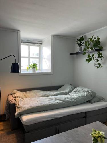 Postel nebo postele na pokoji v ubytování Cozy ground floor apartment