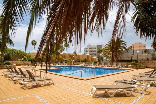een zwembad met ligstoelen en een palmboom bij Luxury Suite Borinquen with parking and swimming pool in Playa de las Americas