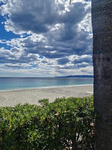 a beach with a cloudy sky and the ocean at Varigotti Tropical Garden - full floor apartment in Varigotti