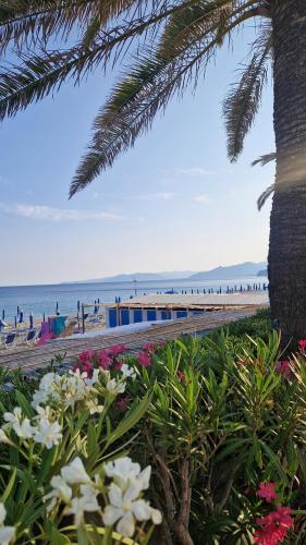 a beach with a palm tree and some flowers at Varigotti Tropical Garden - full floor apartment in Varigotti