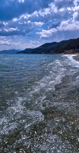 a view of a body of water with a beach at Varigotti Tropical Garden - full floor apartment in Varigotti