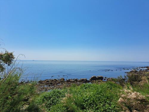 Gallery image of Sylvan Seas in Ventnor