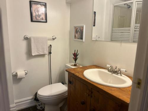 a bathroom with a sink and a toilet and a mirror at The Rustic Barn in Brampton