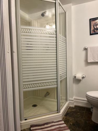 uma cabina de duche em vidro numa casa de banho com WC em Rustic Barn Style Romantic Getaway em Brampton