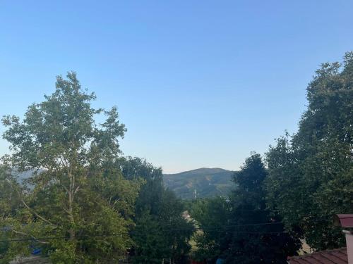 a view from the roof of a house with trees at Saint George in Strumica