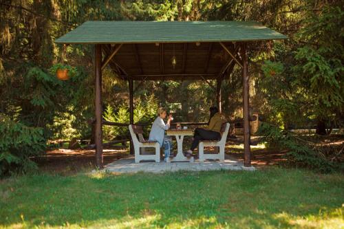 two people sitting at a table under a gazebo at Komáří Louka in Nová Olešná