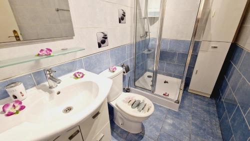 ein Badezimmer mit Toilette, Waschbecken und Dusche in der Unterkunft Mareverde holiday's, 1 room & big terrace in Adeje