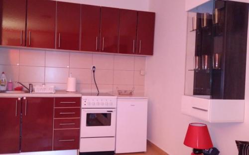 茲沃爾尼克的住宿－Stan na dan Vasilije，厨房配有红色橱柜和白色烤箱