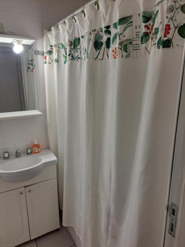 a bathroom with a shower curtain and a sink at Apartamento centrico amueblado in Mendoza