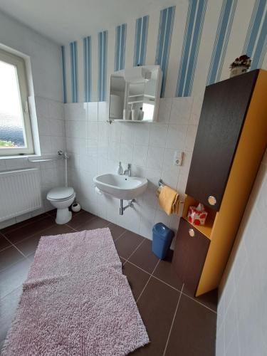 a small bathroom with a sink and a toilet at Keller´s Ferienwohnung an der Saale in Schwarzenbach an der Saale