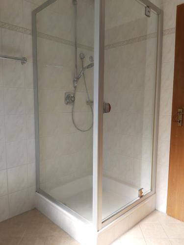 a shower with a glass door in a bathroom at Ferienwohnung im Molsbachtal in Happurg