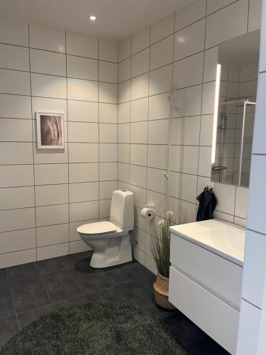 a bathroom with a toilet and a sink and a mirror at Luxury Modern Home near Gothenburg & 3 min t Beach in Billdal