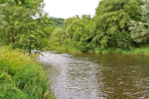 a river with trees and bushes on the side at A Mëchels in Bettel