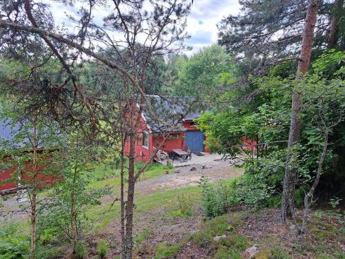 a house in the middle of a forest at Guesthouse Nature Trails Sweden in Övre Älgestad