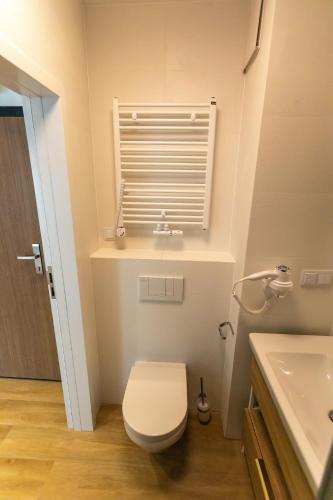 a bathroom with a toilet and a sink and a window at Bel Mare Aqua Resort B&M in Międzyzdroje