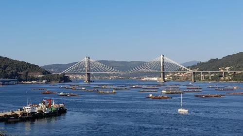 a bunch of boats in the water with a bridge at Estudio con vistas al mar in Moaña