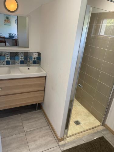 une salle de bain avec un lavabo et une douche dans l'établissement Petite maison avec 2 chambres, à Bussy
