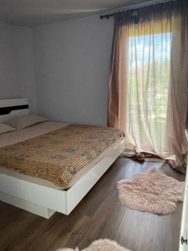 1 dormitorio con cama y ventana con alfombra en Garsoniera la casa, en Timisoara