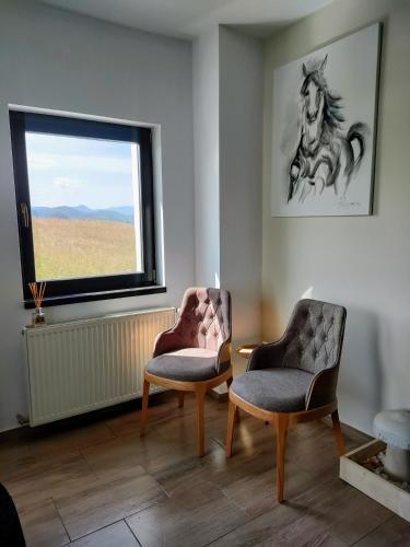 a room with two chairs and a window with a horse picture at VILA LUCA-Hotel in Şirnea