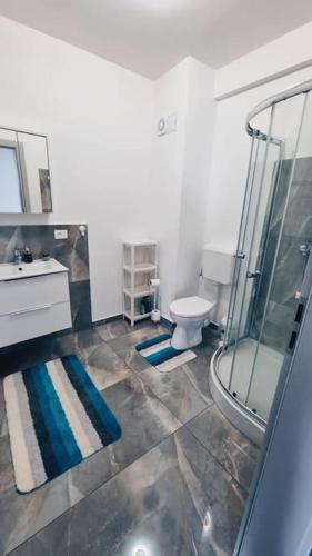 a bathroom with a shower and a toilet and a sink at Paradis Baile Felix in Baile Felix