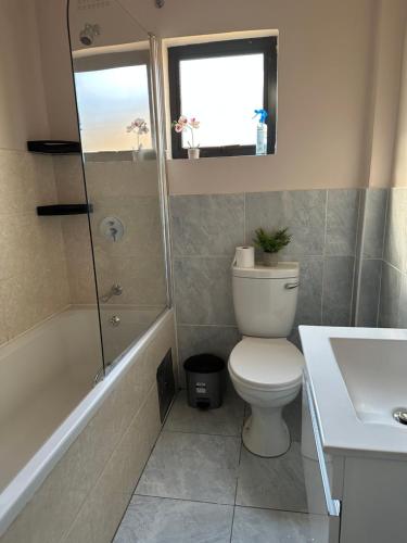 a bathroom with a toilet and a shower and a sink at Exquisite short and long stay in Gaborone