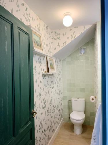 a bathroom with a toilet and a green door at Syvyle in Cazorla