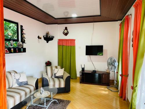 a living room with two couches and a tv at ANTONIO TRANSIT KATUNAYAKE in Katunayaka