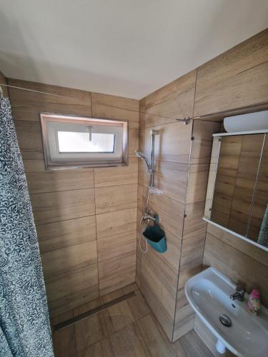 ein Bad mit einer Dusche und einem Waschbecken in der Unterkunft Hannibal in Bulhary
