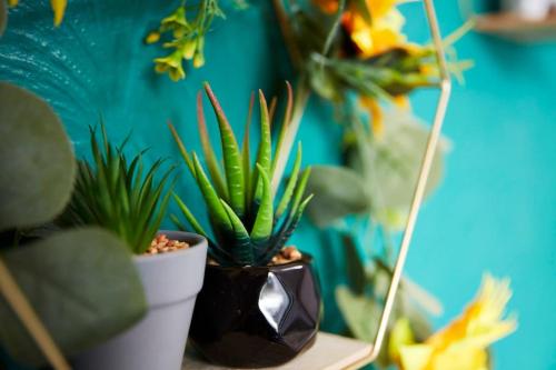 uma planta num vaso sentado numa prateleira com outras plantas em *Little Haven in Leeds* ¤Private Parking¤ Ensuite em Killingbeck